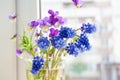 Wildflowers on the window. Flowers Pansies and Muscari on the windowsill