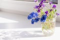 Wildflowers on the windowsill. Shade from the flowers on the windows Royalty Free Stock Photo