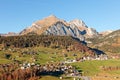 Wildhaus valley with Alpstein in background Royalty Free Stock Photo