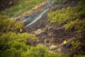 Wildland Fire Fighters Spraying Water On Trees