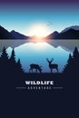 Wildlife adventure elk in the wilderness blue lake at sunset