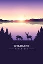 Wildlife adventure elk in the wilderness by the lake at sunset
