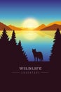 Wildlife adventure wolf in the wilderness by the lake at sunset Royalty Free Stock Photo