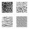 Wildlife animal skin texture print of tiger, leopard, giraffe and zebra. Vector illustration isolated on white background Royalty Free Stock Photo