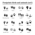Wildlife animals and birds footprint, animal paw prints vector set. Footprints of variety of animals, illustration of
