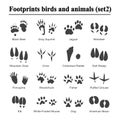 Wildlife animals and birds footprint, animal paw prints vector set. Footprints of variety of animals, illustration of