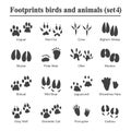 Wildlife animals and birds footprint, animal paw prints vector set. Footprints of variety of animals, illustration of