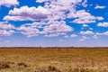 Wildlife Animals Kenyan Landscape Nairobi National Park Only City Park In The World Nairobi City County Kenya East African