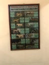 wildlife animals presentation board at indian museum