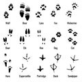 Wildlife animals, reptiles and birds footprint, animal paw prints vector set Royalty Free Stock Photo