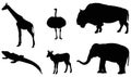 Wildlife animals silhouette - undomesticated animal species Royalty Free Stock Photo