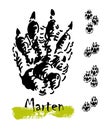 Silhouettes of traces of wild animals. Traces of a marten. Vector illustration
