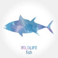 Wildlife banner - fish tuna