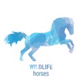 Wildlife banner - horses
