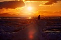 Wildlife behaviour scene, nature. Kuril Islands or Kurile Islands - drifting ice, sea sunset. Beautiful Steller's sea eagle,