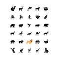 Wildlife black glyph icons set on white space Royalty Free Stock Photo