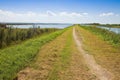 The wildlife Comacchio valleys are known worldwide for eel fishing Royalty Free Stock Photo