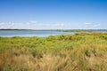 The wildlife Comacchio valleys are known worldwide for eel fishing Royalty Free Stock Photo