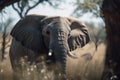 Wildlife conservation. Elephant portrait. AI generated