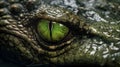 Wildlife crocodile green underwater photography. Open eye reptile teeth. Dangerous animal river mangrove forest close up