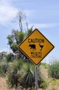 Wildlife Crossing Sign with Grass Trees