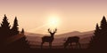 Wildlife deer on autumn mountain and forest landscape