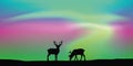 Wildlife deer couple with aurora borealis polar lights background