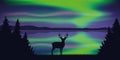 Wildlife deer by the lake with beautiful polar lights in the sky Royalty Free Stock Photo