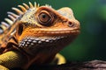 Wildlife detail Reptile close up on tree branch, stunning background