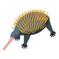 Wildlife echidna icon isometric vector. Nature animal Royalty Free Stock Photo