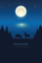 Wildlife elk in the wilderness by the lake with full moon in a starry night