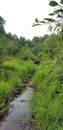 Wildlife habitat with river stream - North Georgia - McDaniel Farm in Duluth