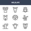 9 wildlife icons pack. trendy wildlife icons on white background. thin outline line icons such as tiger, bamboo, horse . wildlife
