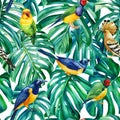 Wildlife illustration. Jungle design. Monstera leaves, hoopoe and starling birds. seamless pattern Royalty Free Stock Photo