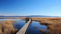 wildlife klamath lake