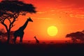 Wildlife liberty Giraffe silhouettes in savanna at sunset, vector illustration Royalty Free Stock Photo