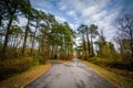 The Wildlife Loop Road, at Chincoteague National Wildlife Refuge