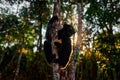 Wildlife Madagascar, indri monkey portrait, Madagascar endemic. Lemur in nature vegetation. Sifaka on the tree, sunny evening.