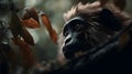 Wildlife, Monkey Sitting On A Branch of A Tree, Close Up Portrait of A Common Monkey, Macaque Monkey