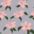 Hibiscus pattern5