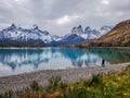 Wildlife and Nature at Parque Torres del Paine, Chile, Patagonia