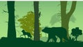 Wildlife nature silhouette, forest, bear, wlf, trees, green