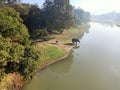 Wildlife and Nature witnessed by the Sky and the Lake