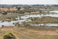 Wildlife in the Okavango Delta Royalty Free Stock Photo