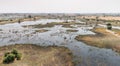 Wildlife in the Okavango Delta Royalty Free Stock Photo