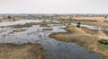 Wildlife in the Okavango Delta Royalty Free Stock Photo