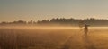 Wildlife Photographer Bialowieza sunrise mist