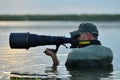 Wildlife photographer outdoor, standing in the water Royalty Free Stock Photo