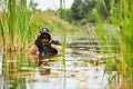 Wildlife photographer outdoor, standing in the water. Wildlife photographer in summer time working in the wild. Wildlife Royalty Free Stock Photo