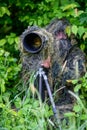 Wildlife photographer in the summer ghillie camouflage suit